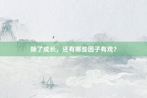 除了成长，还有哪些因子有戏？