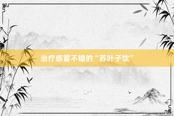 治疗感冒不错的“苏叶子饮”