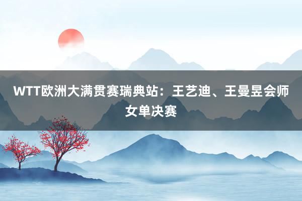 WTT欧洲大满贯赛瑞典站：王艺迪、王曼昱会师女单决赛