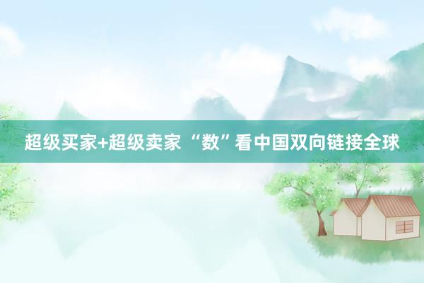 超级买家+超级卖家 “数”看中国双向链接全球