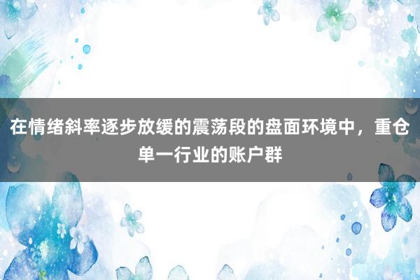 在情绪斜率逐步放缓的震荡段的盘面环境中，重仓单一行业的账户群