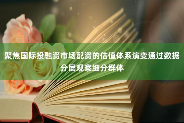 聚焦国际投融资市场配资的估值体系演变通过数据分层观察细分群体