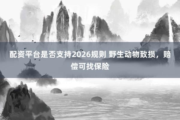 配资平台是否支持2026规则 野生动物致损，赔偿可找保险