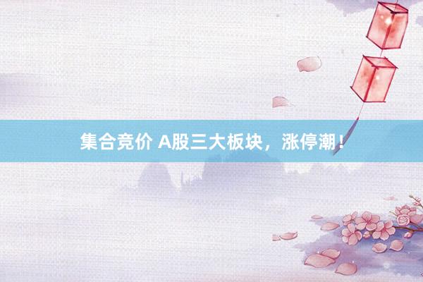 集合竞价 A股三大板块，涨停潮！